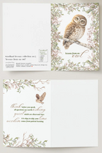 Lessons From Cards - Woodland Collection