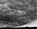 43. Storm Approaching, Peggy Sloan