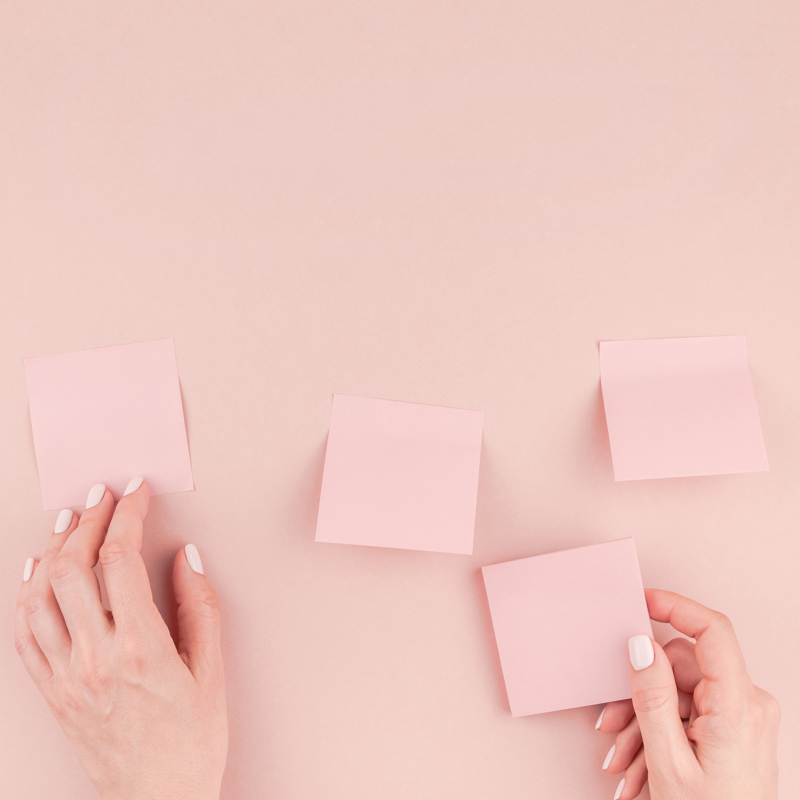 Rebranding Consultation