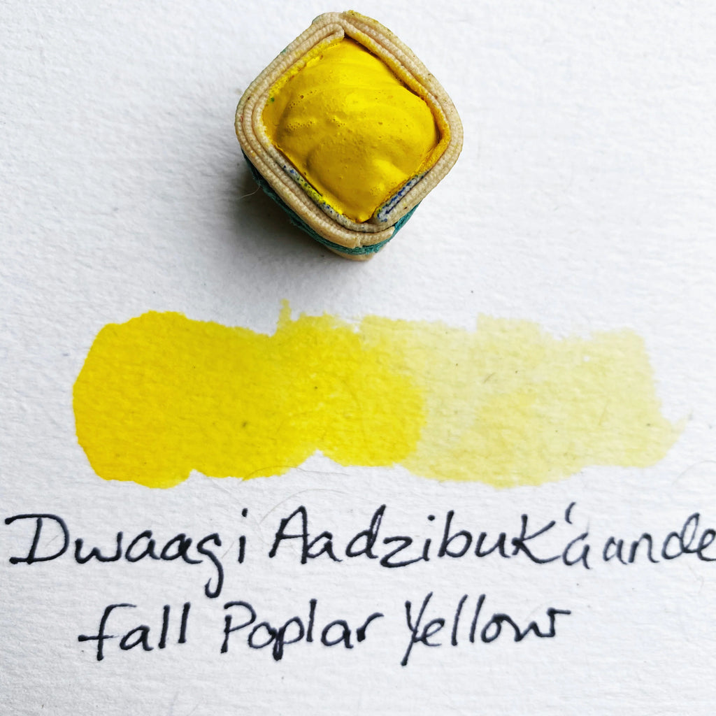 Watercolour Paintstones from Beam Paints