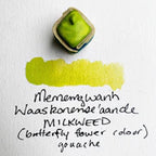Watercolour Paintstones from Beam Paints