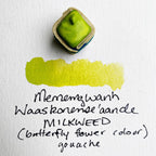 Watercolour Paintstones from Beam Paints